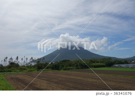 開聞岳と池田湖　自然　風景　旅　旅行　指宿　南九州　雲 36341076