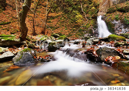 風挙の滝 36341636