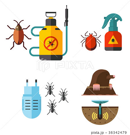 Home pest insect vector control expert vermin-插圖素材[36342479