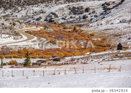 First snow and autumn trees along wet highway First snow and autumn trees along wet highway 36342914