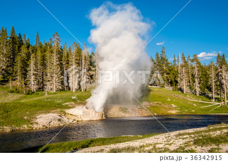 Riverside Geyser in Yellowstone National Park Riverside Geyser in Yellowstone National Park 36342915