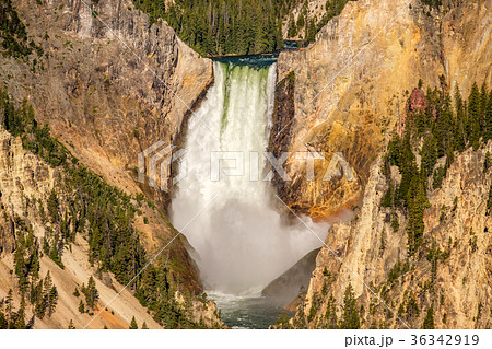 Lower Falls waterfall  36342919