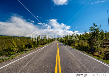 Highway in Yellowstone National Park 36342935