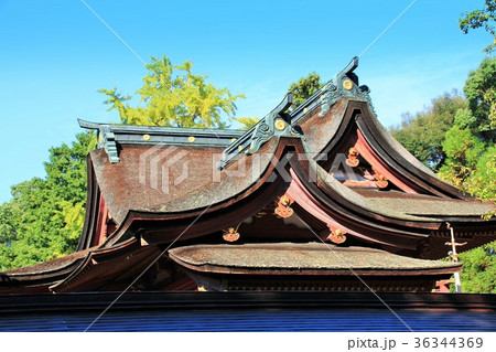 香椎宮本殿（福岡市） 36344369