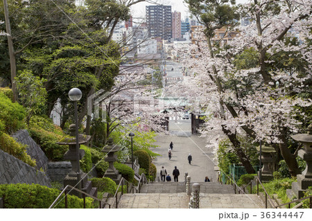 池上本門寺 此経難持坂から見た風景 池上本門寺 此経難持坂から見た風景 36344447