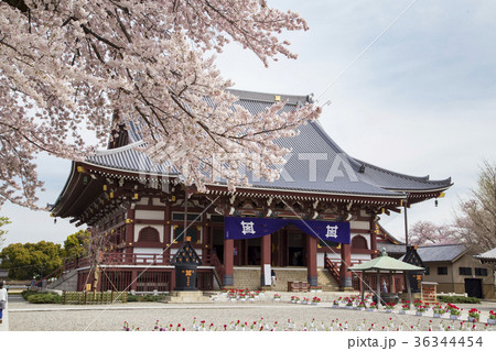 池上本門寺 大堂(祖師堂) 池上本門寺 大堂(祖師堂) 36344454