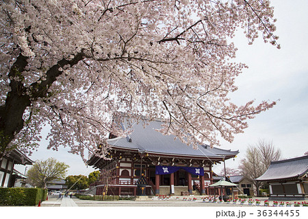 池上本門寺 大堂(祖師堂) 池上本門寺 大堂(祖師堂) 36344455