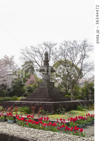 池上本門寺 万両塚(芳心院宝塔) 池上本門寺 万両塚(芳心院宝塔) 36344472