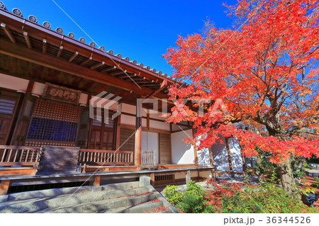 常寂光寺本堂の紅葉 常寂光寺本堂の紅葉 36344526
