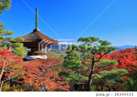 常寂光寺多宝塔の紅葉 36344533