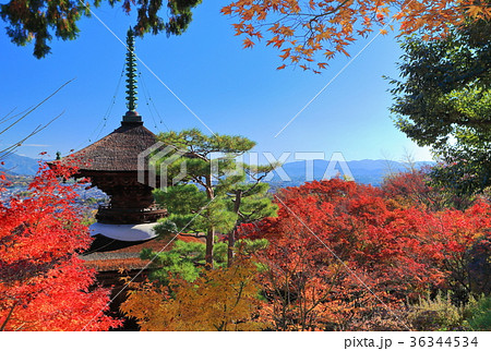 常寂光寺多宝塔の紅葉 36344534