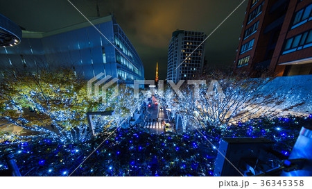 けやき坂 イルミネーション けやき坂 イルミネーション 36345358