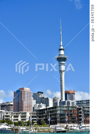 スカイタワー 36345709
