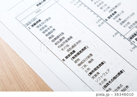 ビジネス資料 ビジネス資料 36346010