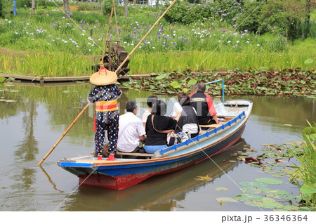 水郷佐原 36346364