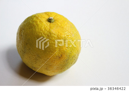 ジャバラ　花粉症 36346422