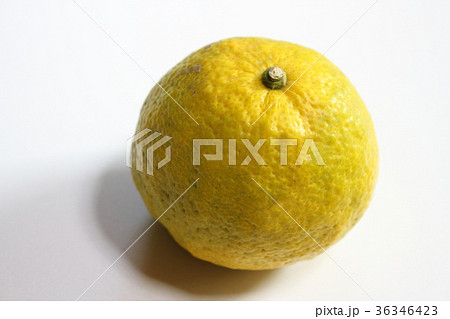 ジャバラ　花粉症 36346423