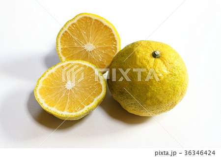 ジャバラ　花粉症 36346424