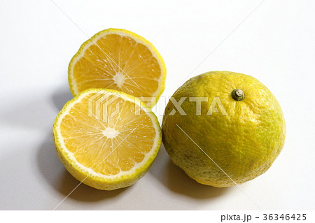 ジャバラ 花粉症 ジャバラ 花粉症 36346425