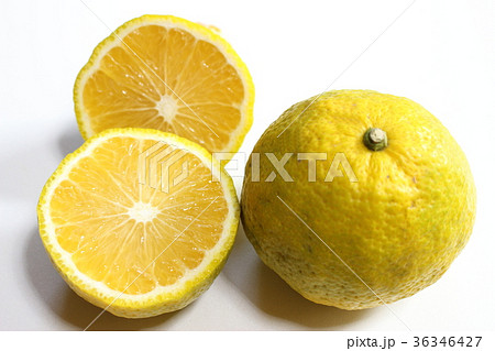 ジャバラ　花粉症 36346427