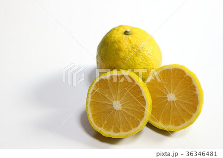 ジャバラ　花粉症 36346481