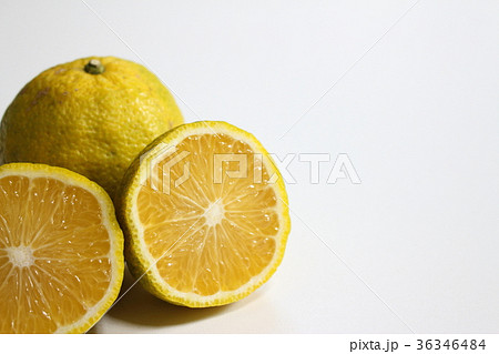 ジャバラ　花粉症 36346484