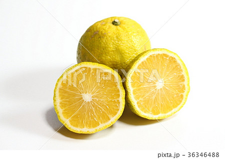 ジャバラ　花粉症 36346488