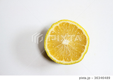 ジャバラ　花粉症 36346489