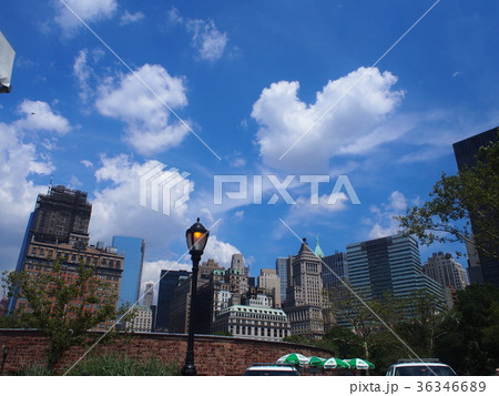 ニューヨークの風景 36346689