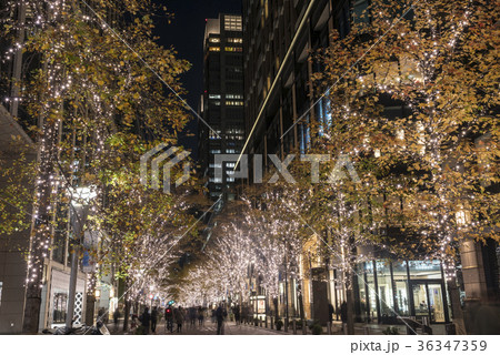 丸の内仲通りイルミネーション 36347359