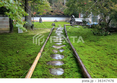 石庭・8（岐阜県岐阜市三輪：三輪山真長寺） 36347476