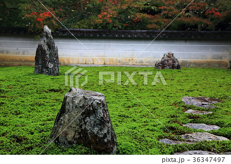 石庭・18(岐阜県岐阜市三輪:三輪山真長寺) 石庭・18(岐阜県岐阜市三輪:三輪山真長寺) 36347497