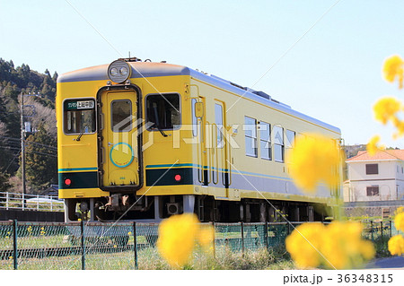 春のいすみ鉄道 36348315