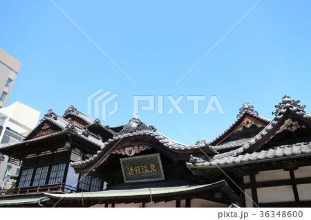 道後温泉 道後温泉 36348600