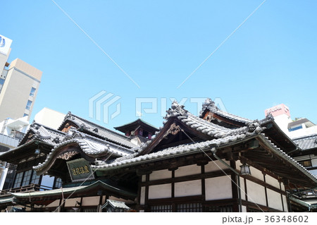 道後温泉 36348602