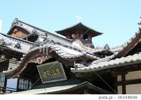 道後温泉 36348606