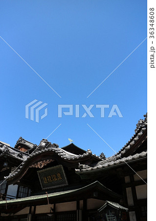 道後温泉 36348608