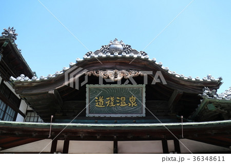 道後温泉 36348611