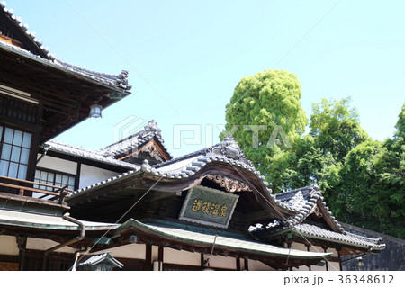 道後温泉 36348612