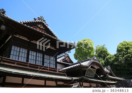 道後温泉 36348613