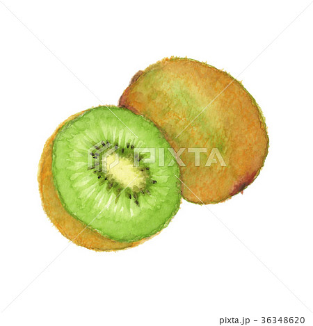 キウイ グリーン 36348620