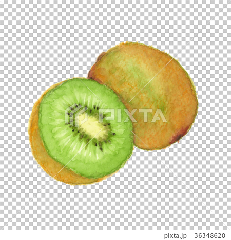 キウイ グリーン 36348620