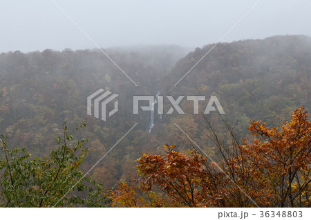 三階の滝・紅葉と霧（宮城県） 36348803