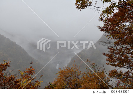 不動滝・紅葉と霧（宮城県） 36348804