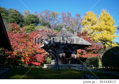 鎌倉 長寿寺 Kamakura Choujyuji-temple 鎌倉 長寿寺 Kamakura Choujyuji-temple 36348815