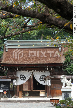 治水神社 治水神社 36348842