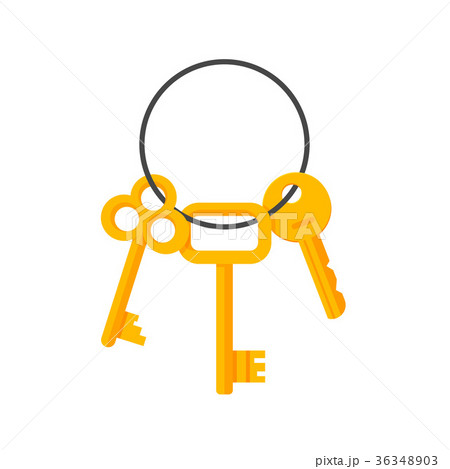 Keys hanging on key ring vector illustration Keys hanging on key ring vector illustration 36348903