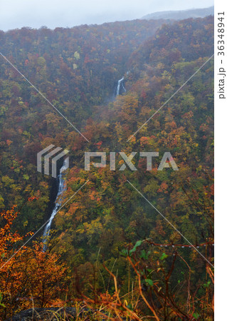 三階の滝の紅葉・蔵王エコーラインからの眺望（宮城県） 36348941