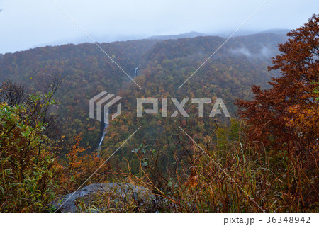 三階の滝の紅葉・蔵王エコーラインからの眺望(宮城県) 三階の滝の紅葉・蔵王エコーラインからの眺望(宮城県) 36348942