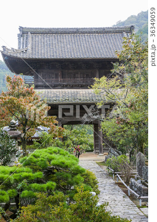行基寺 36349059